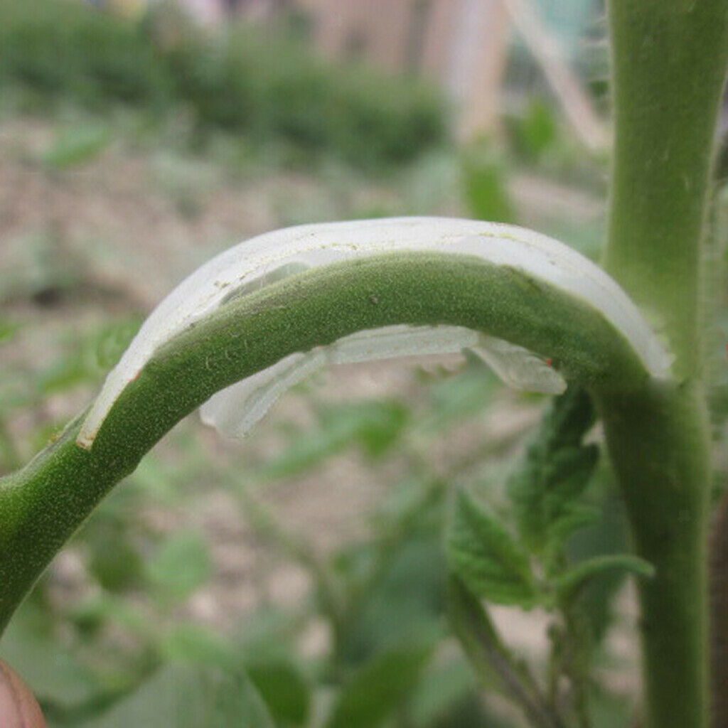 100pcs Tomato Garden Trellis Plant Holder Fixing Clip for