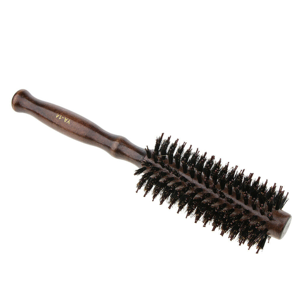 Hair Brush Professional Hairdressing Comb Brush + Hair Curlers