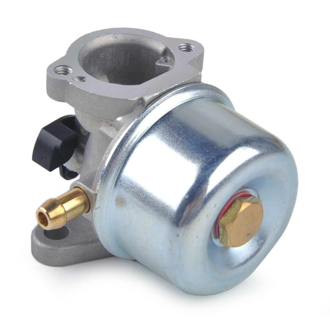 Carburetor & Gaskets Fit for Briggs & Stratton 799868 498170 498254 497314 An