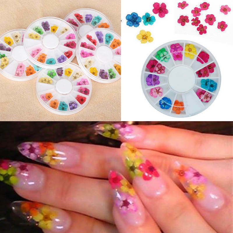 Dry Flower Salon Acrylic UV Gel Nail Art Manicure Crafts DIY Design Decorations