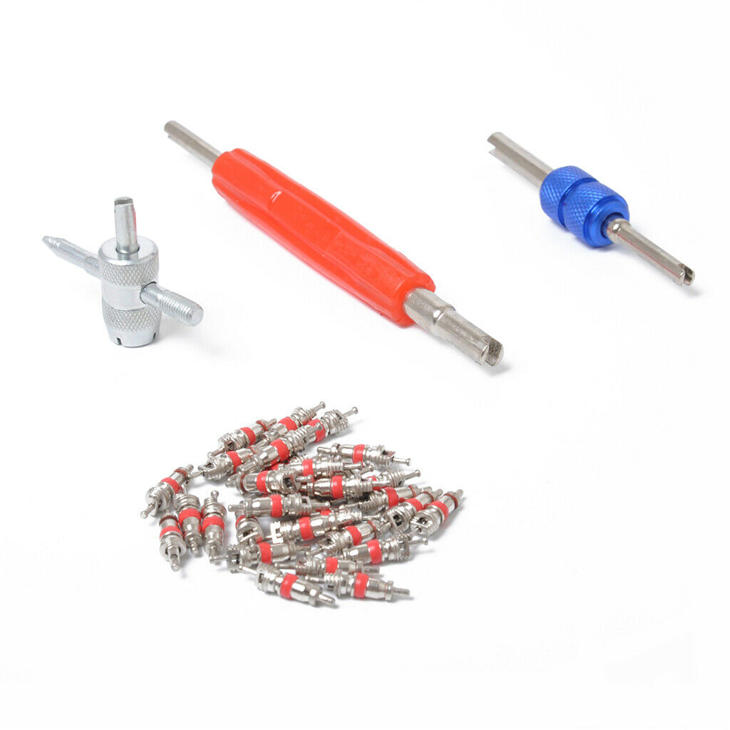 55pcs Auto TR412*8 /TR413*8 /TR414*8 /TR418*8 Repair Tire Valve Core Kit +Valve