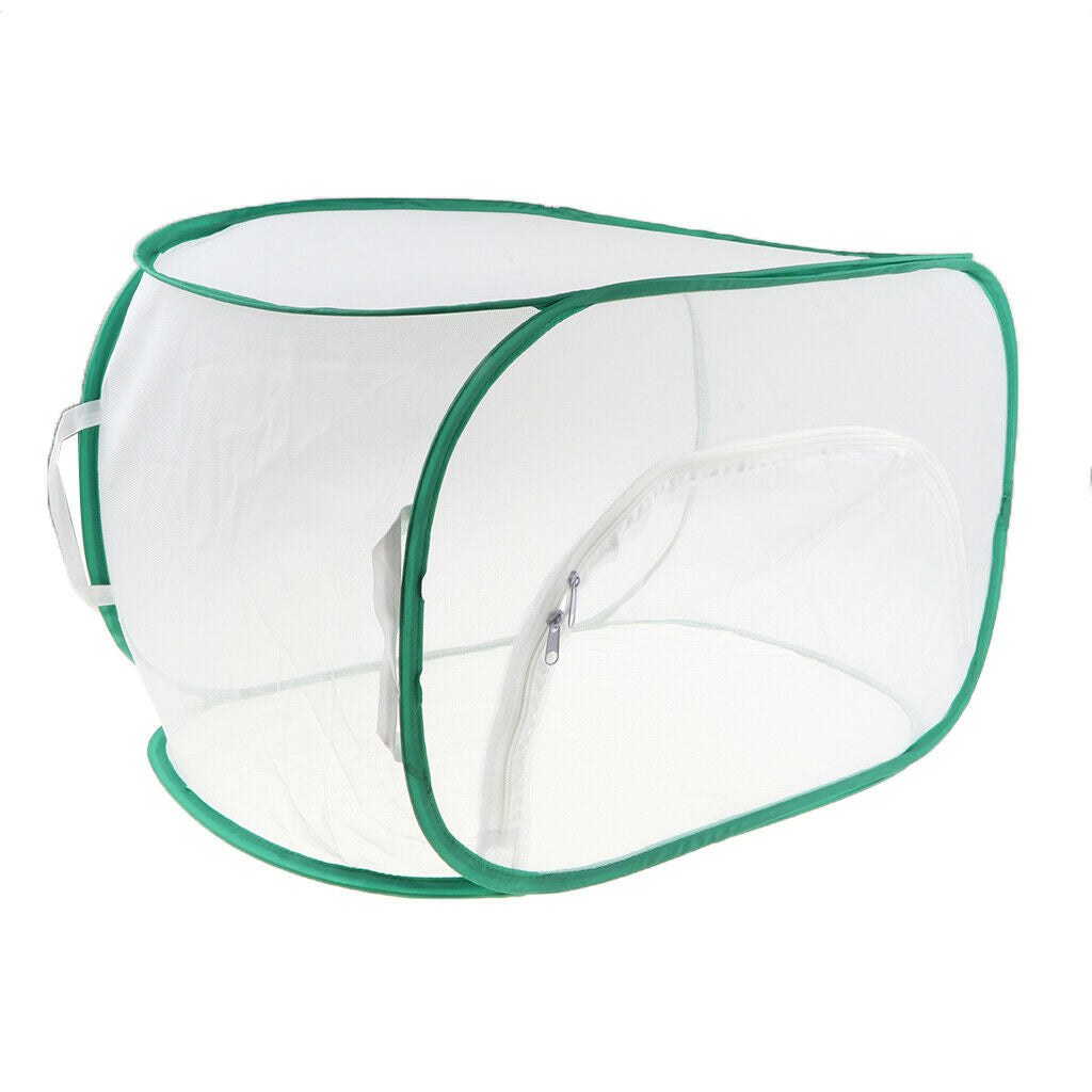 2XInsect Breeding   Up Cage Butterfly Habitat Terrarium Living Net Collapsible