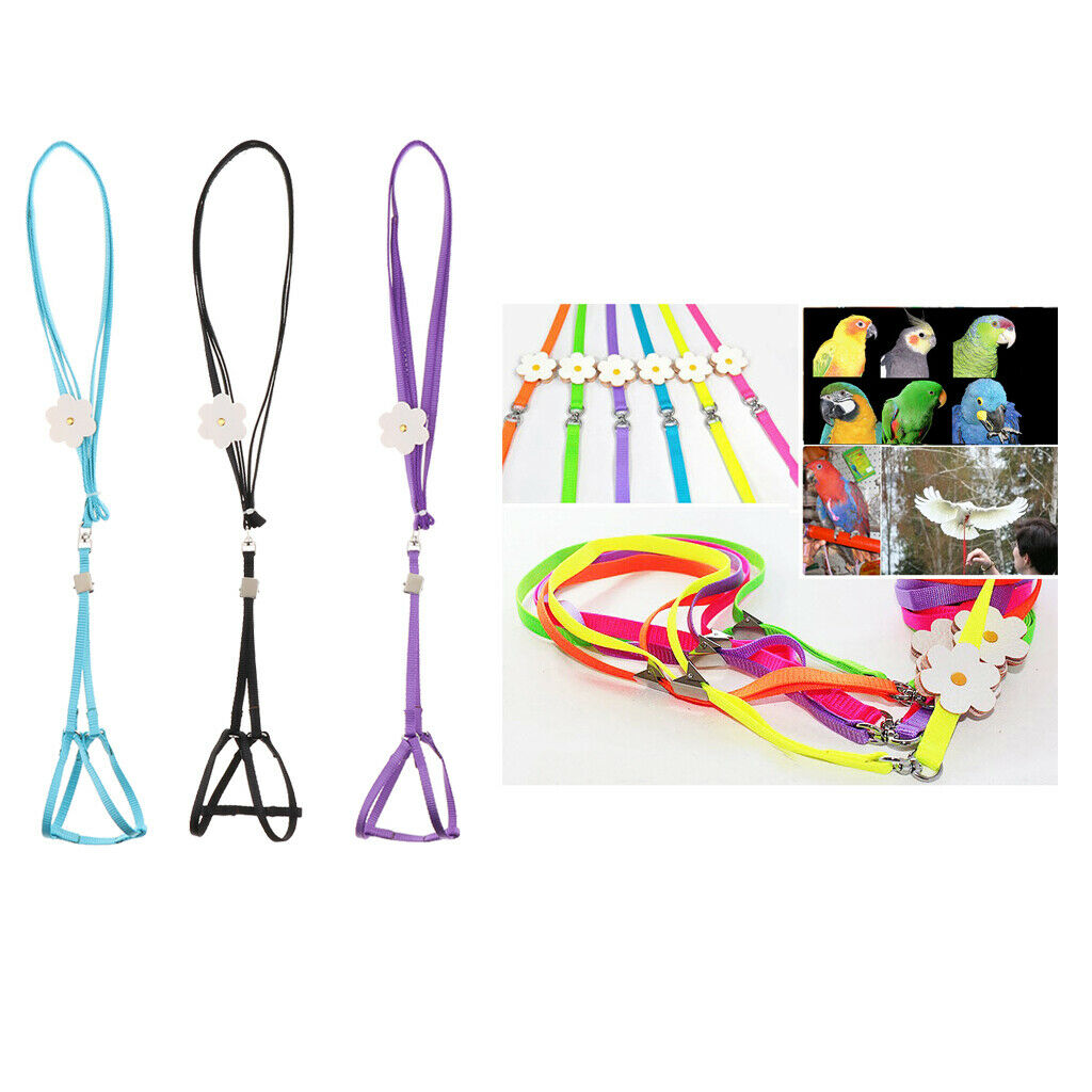 Reusable Nappies  Cloth Diaper & Leash for Small to Medium Birds