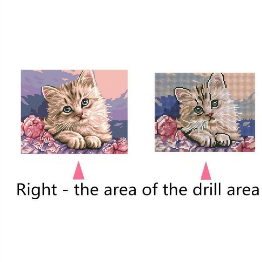5D DIY Diamonds Embroidery Fantastic Pictures for Home Wall Decor Cat