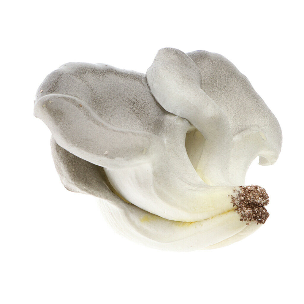 Realistic Artificial Fruits yster mushroom for Home Kitchen Decoration