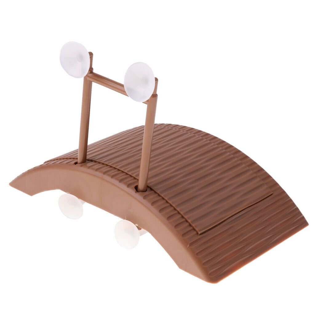 Turtle Pier Bridge Dock Crankset Platform Shelf Ramp Reptile