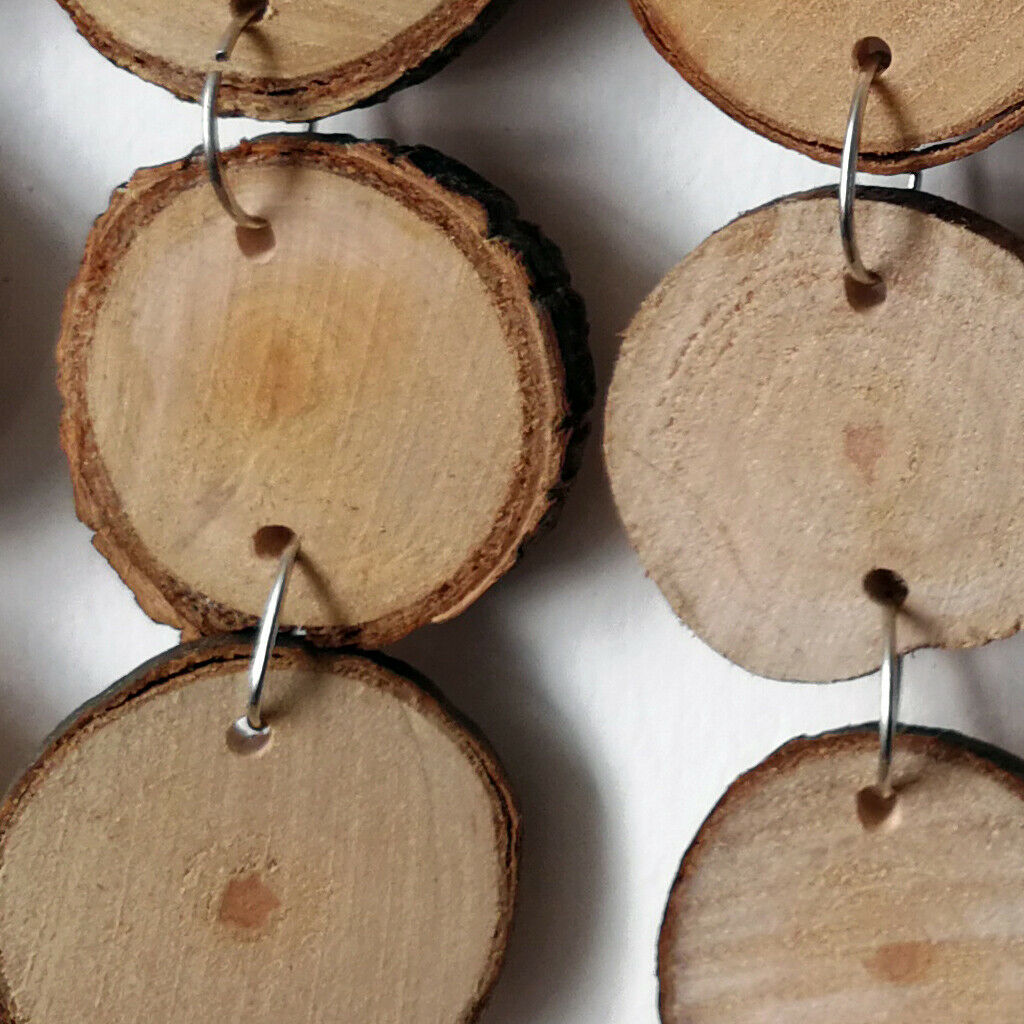 40Pcs Round Wooden Labels From Natural Wood for Crafts And