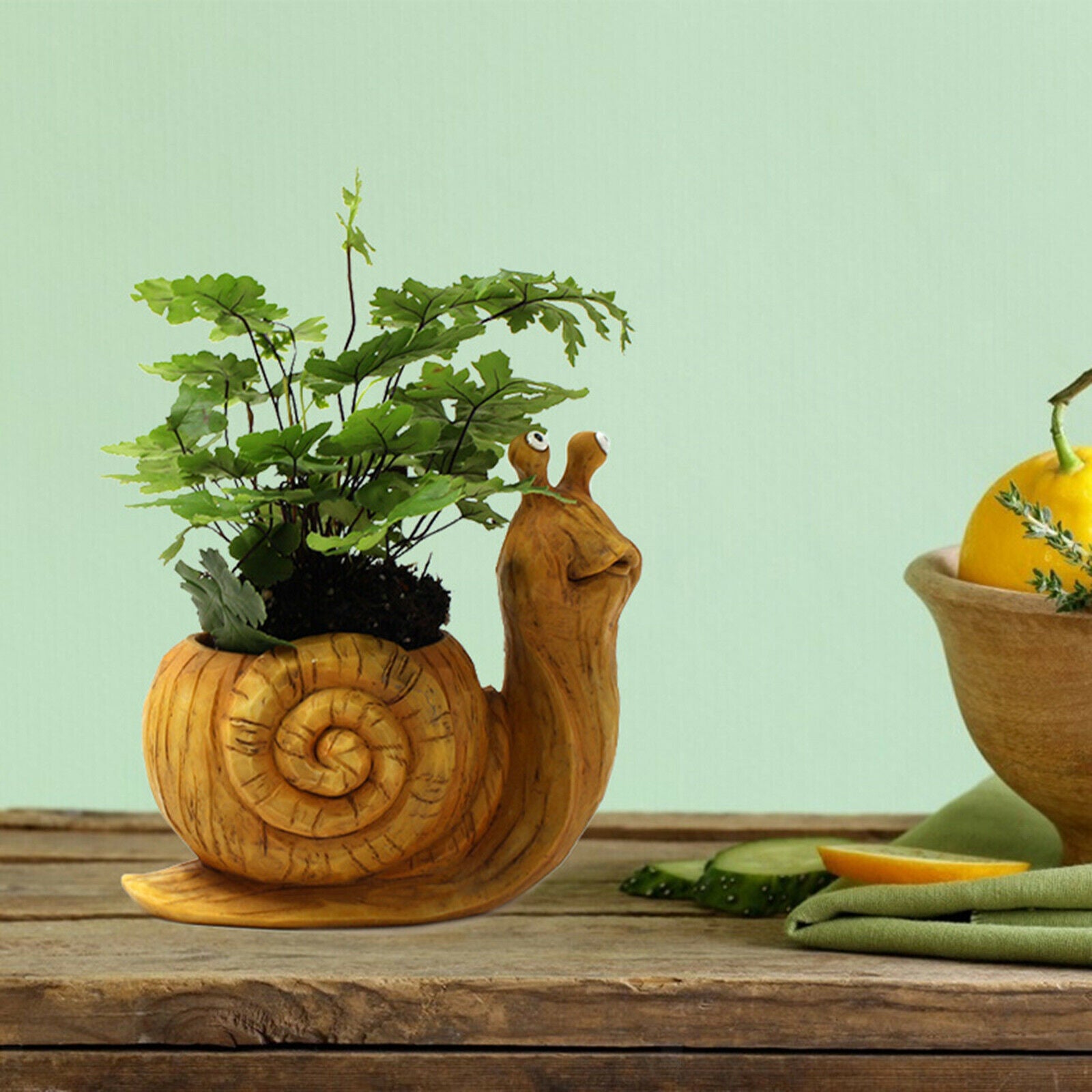Lovely Succulent Flower Pot Snails Garden Planter Desktop Decor Kitchen Home
