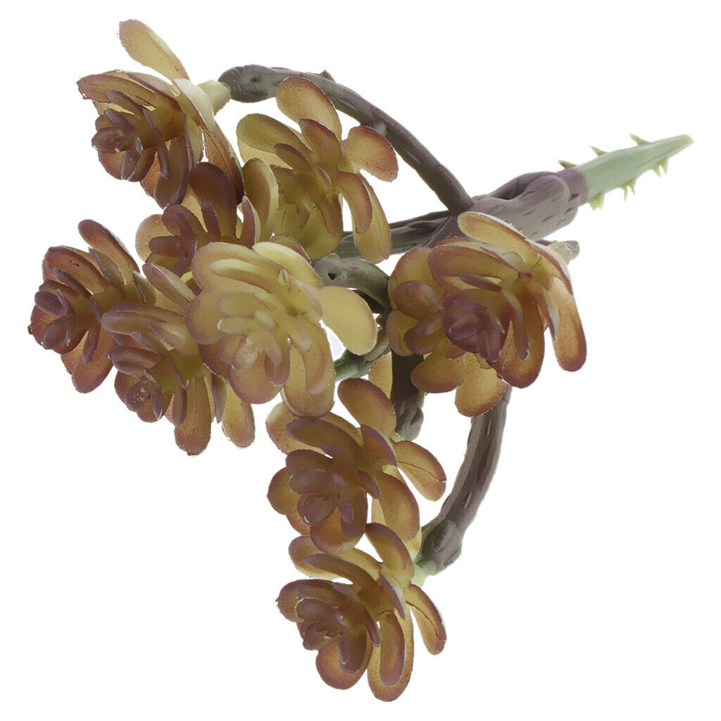 2 Pieces.  Cactus Succulent Plant Artificial Plant Decor