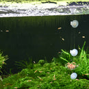2pcs Aquarium Fish Tank Shrimp Feeding Food Dish Tray Feeder Container Clear
