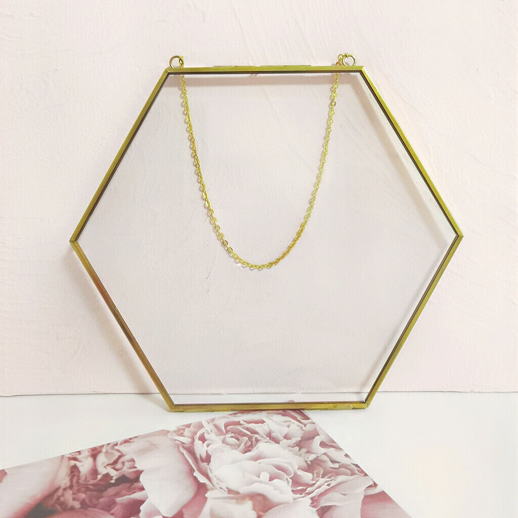 Double-sided hanging glass display frame for photo picture plant sample