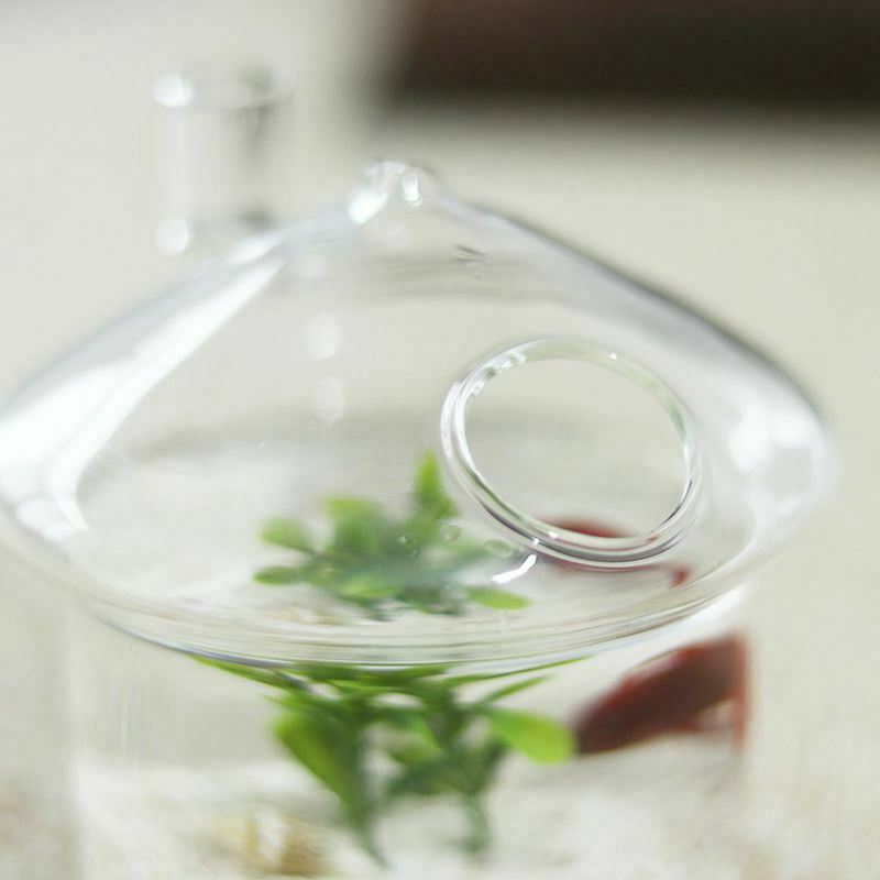 Mushroom-shaped Hanging Glass Planter Vase Rumble Fish Tank Terrarium ContaineD1