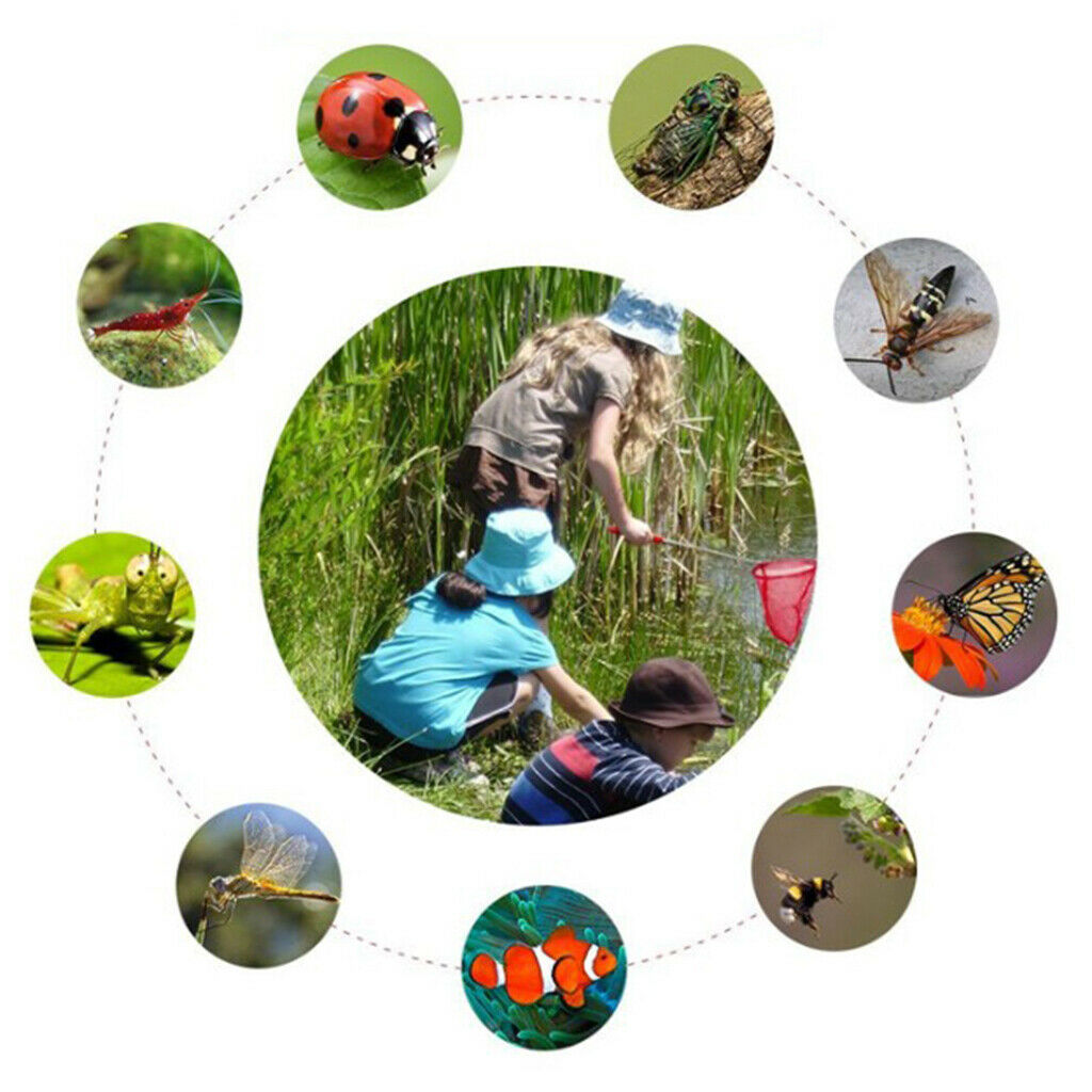 Set of 3 Kid Telescopic Butterfly Fishing Net Extendable Outdoor Exploration