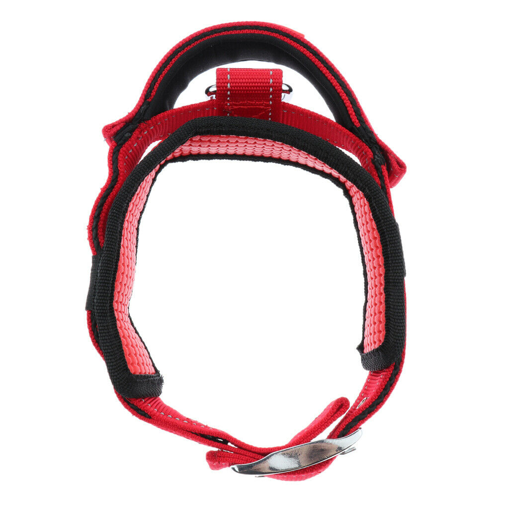 Pet Dog Collar Neck Belt with Adjustable Strap Dog Cat Pet Accessories Red
