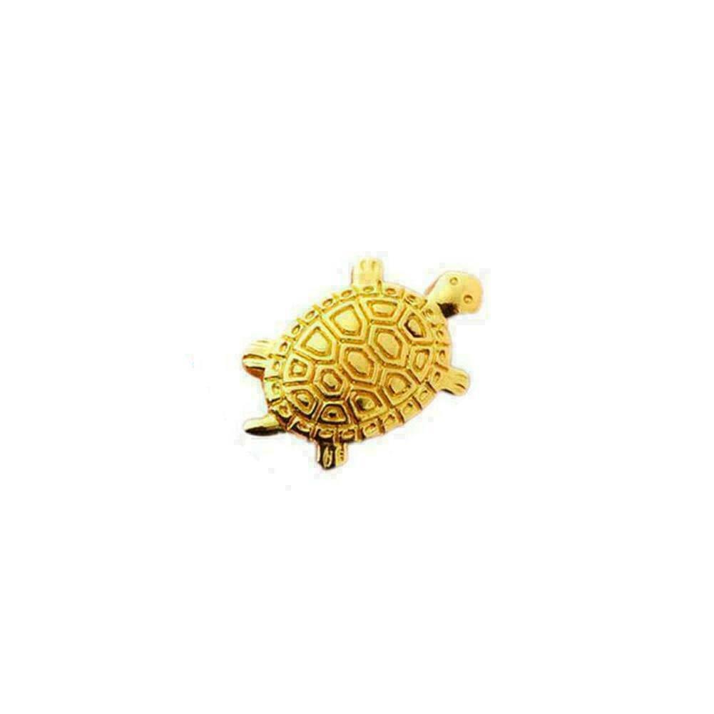 Money Turtle Golden Tortoise Blessing Fortune Furnishing Feng