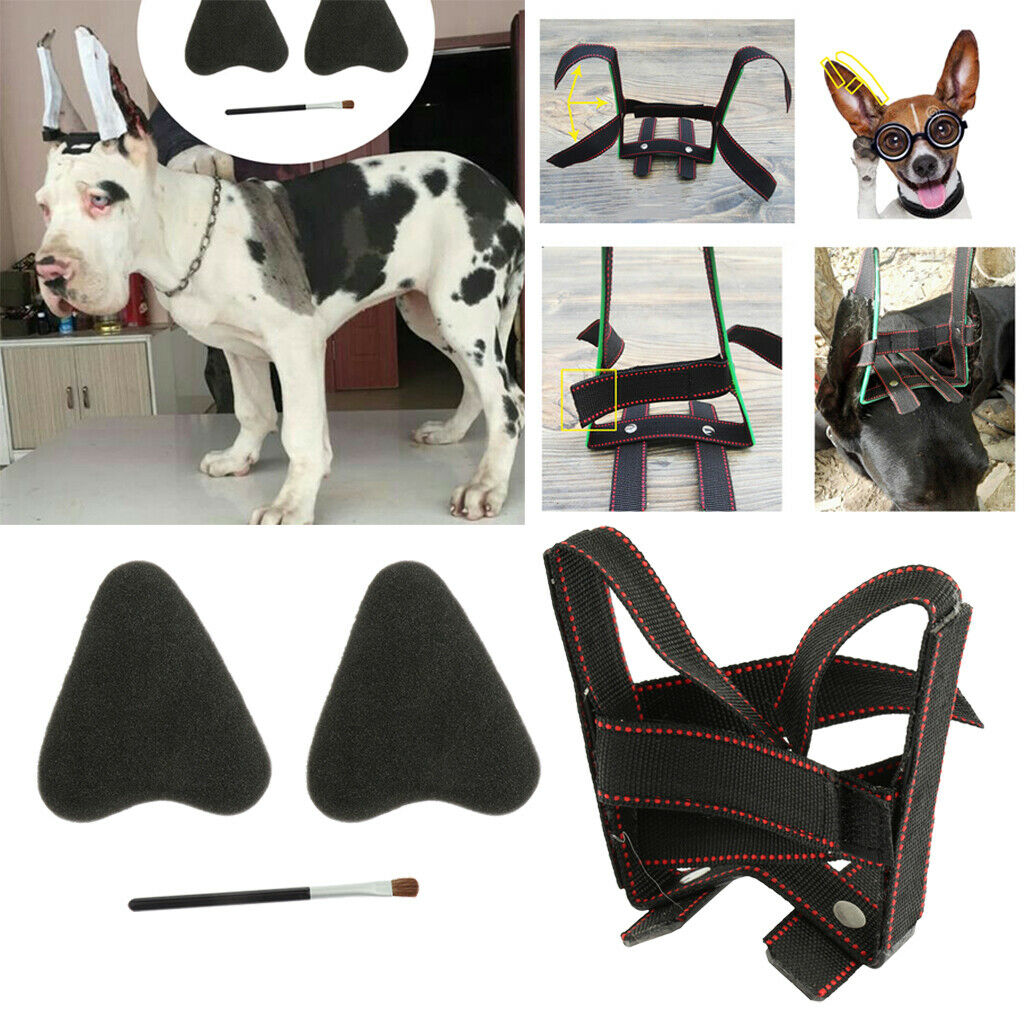2pcs Pet Dog Ear Care Tools Ear Erect Standing Up Tools + Ear Stickers for