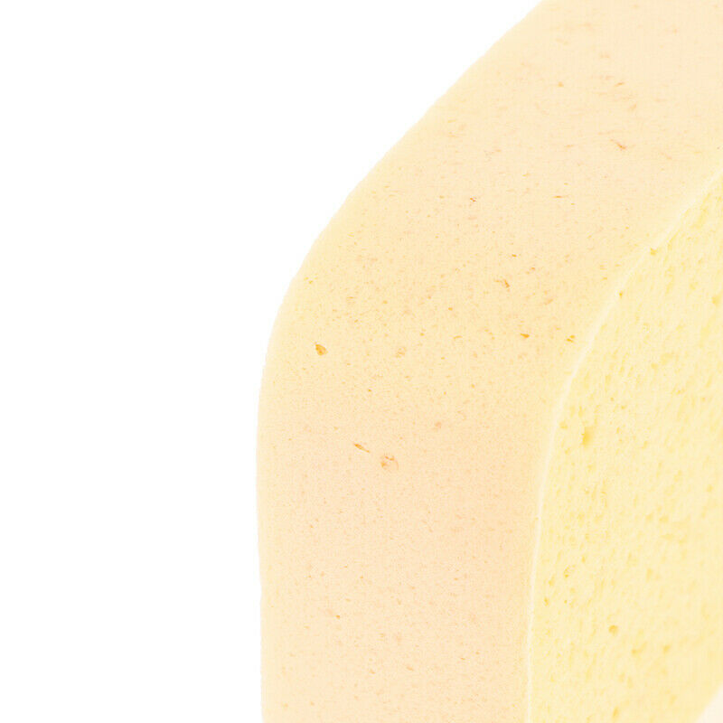 Dental Lab Material Viscose Sponge Absorbent Sponge For Applying Porcela.l8