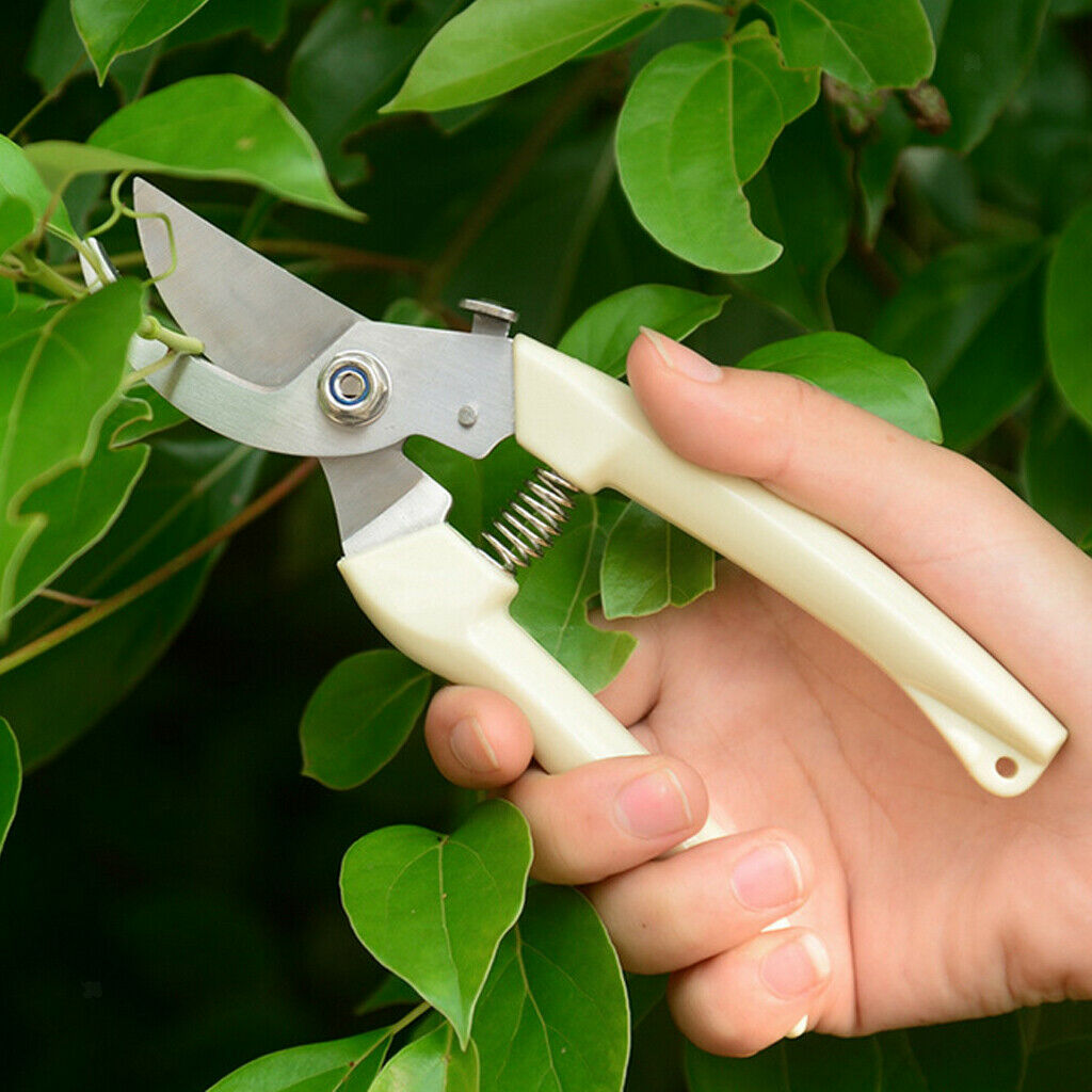 Garden Bonsai Pruning Shear Secateur Plant Cutter with Anti-slip Handle