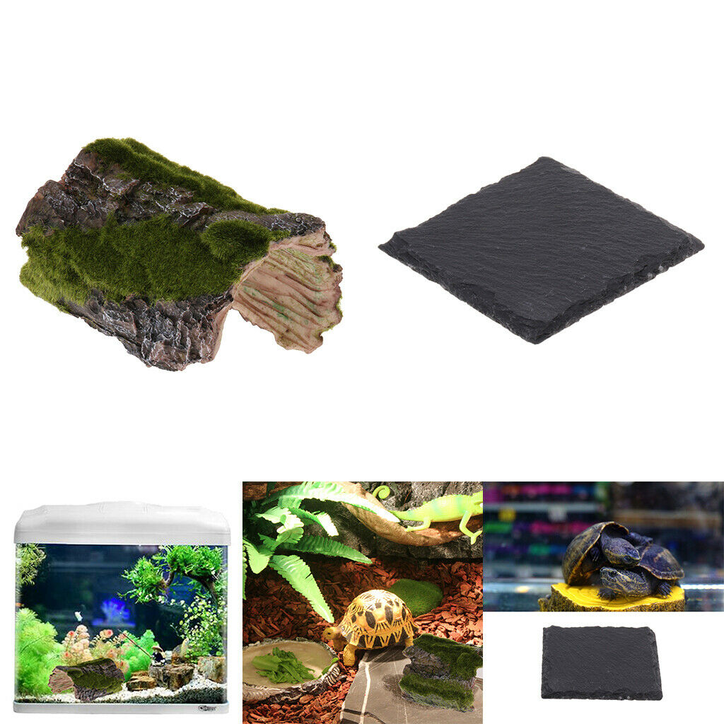 Aquarium Fish Tank Ornament Lizard Spider Hide Cave with Turtle Tortoise Dish