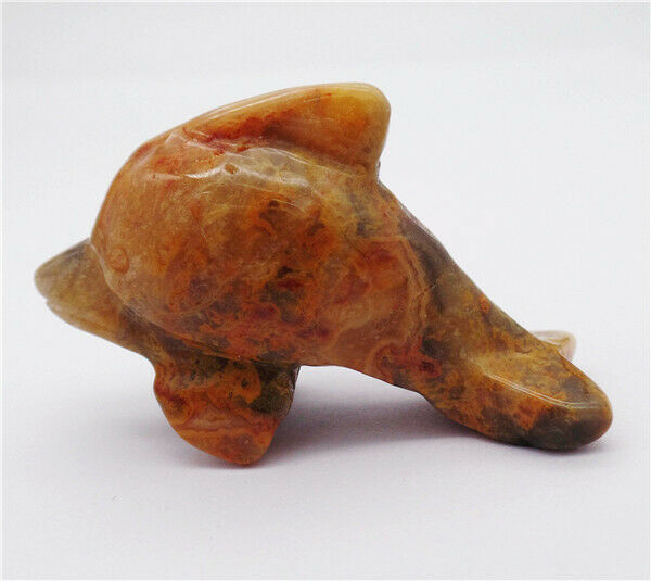 50x28x15mm Natural Crazy Lace Agate Dolphin Statue Healing Decoration HH8133