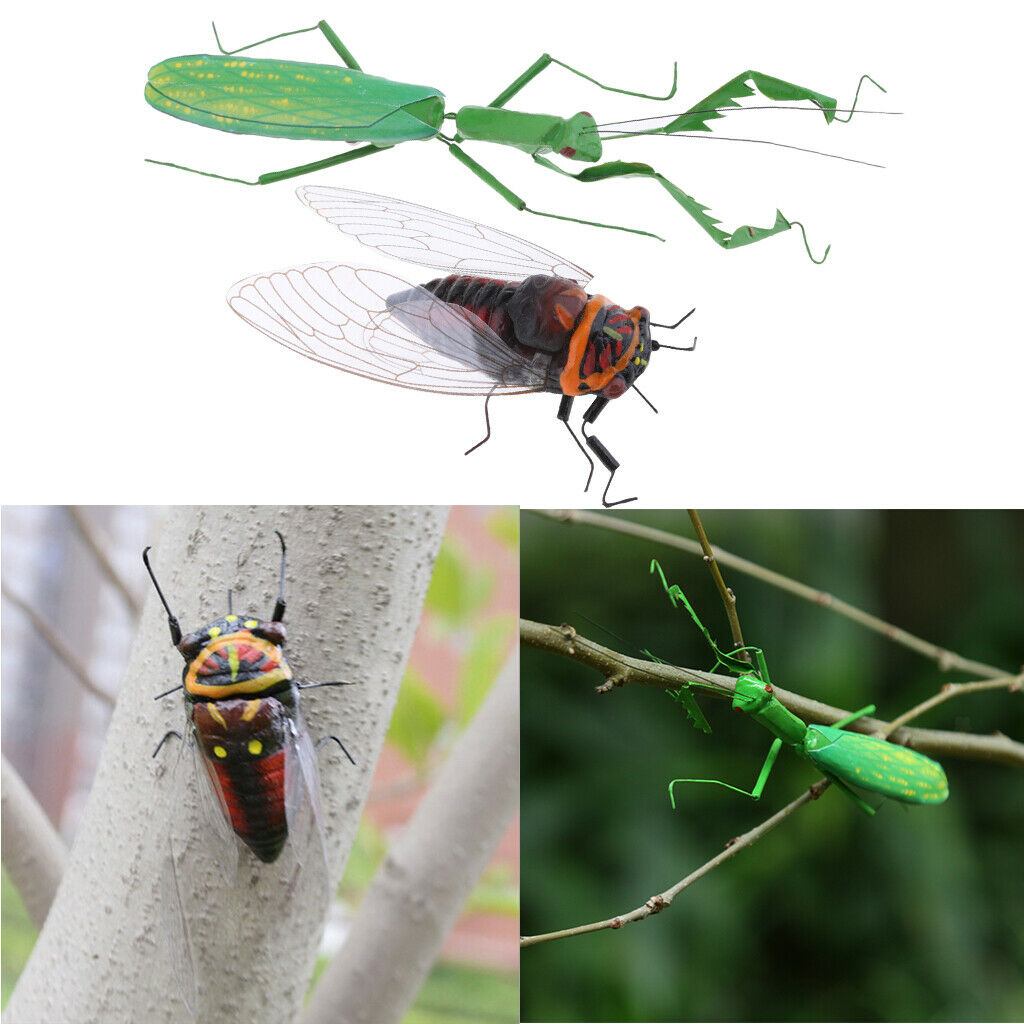 2 x Vivid Insect Animal Statue Wall Hanging Art Garden Decor Mantis & Cicada