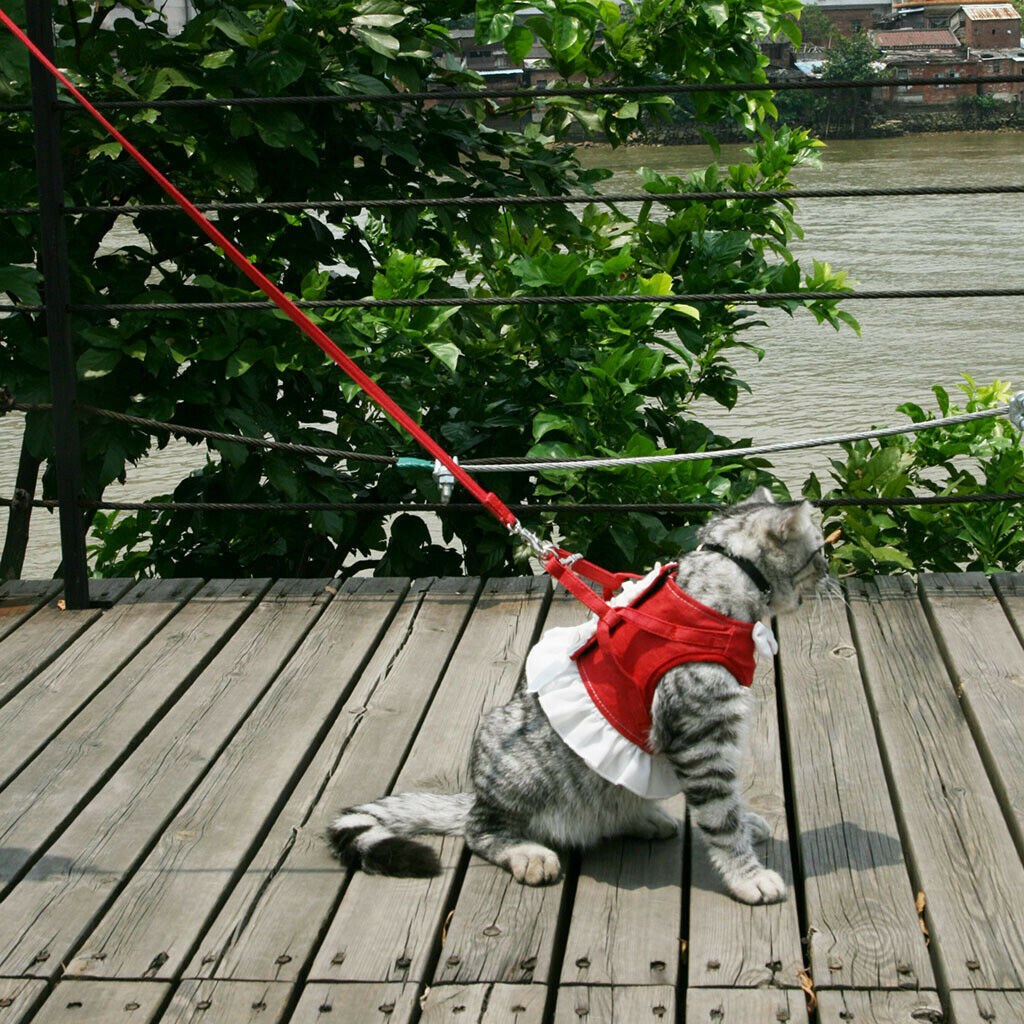 Pet Dog Harness Leash Pet Costume Clothes for Small Pet Cat Puppy Red-XS