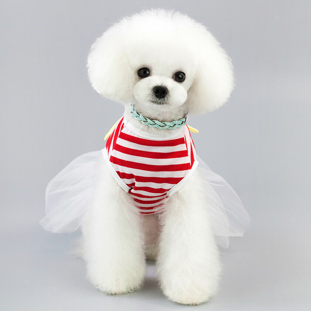 Small Dog Skirt Tutu Clothing Wedding Dresses for Spring Summer  Red L