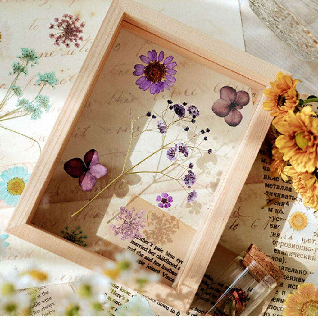 152x Dried Flowers Pink Real Dried Flowers Making Greeting Card Crafts