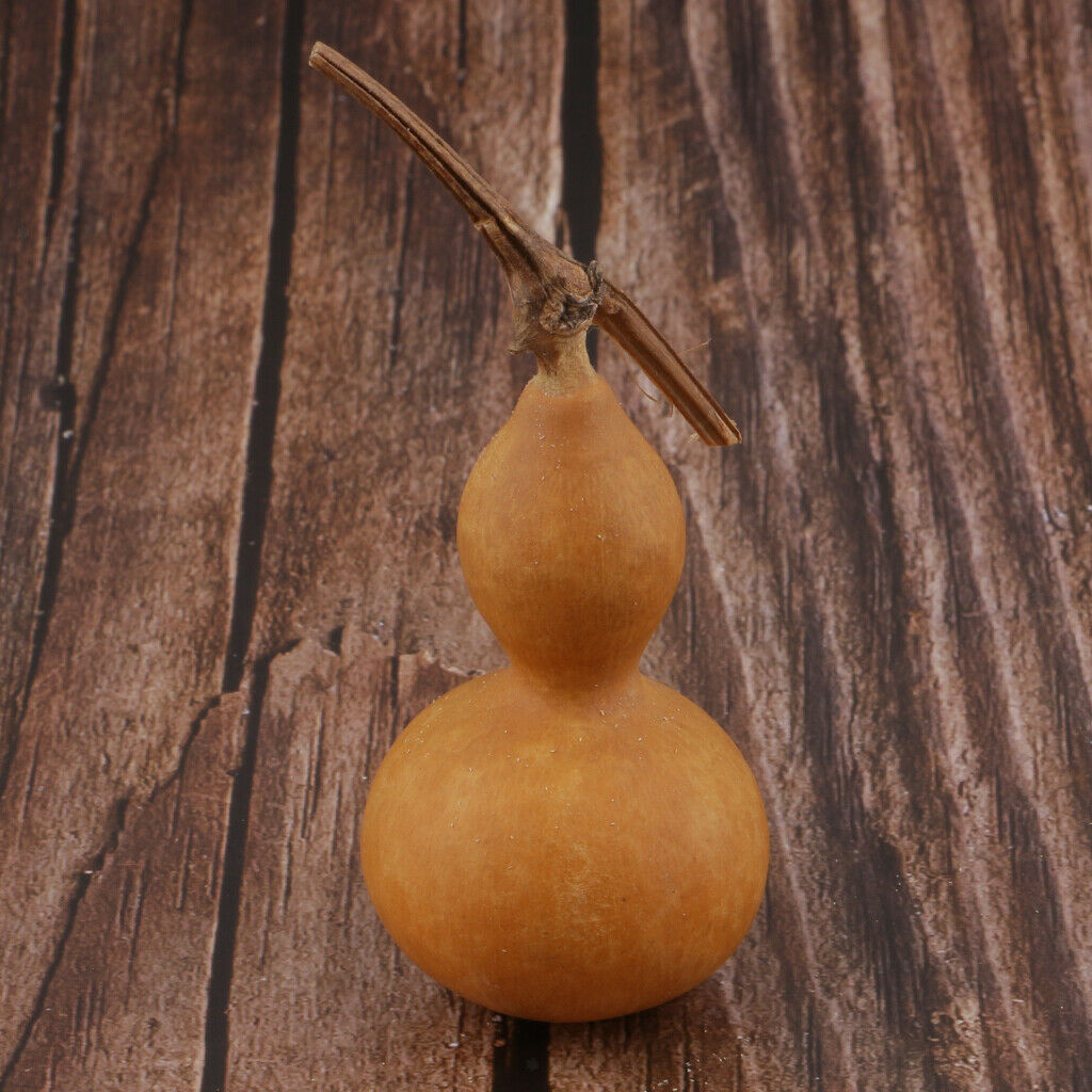 Natural Tiny Real Dried Gourd Ornaments Home Decoration Beaut Paint Gift