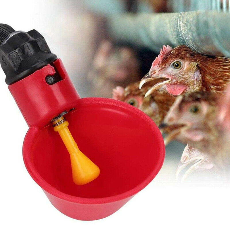 5PCS Automatic Chicken Drinker Quail Water Cup Nipple Bowls Feed Bird  Poul KX