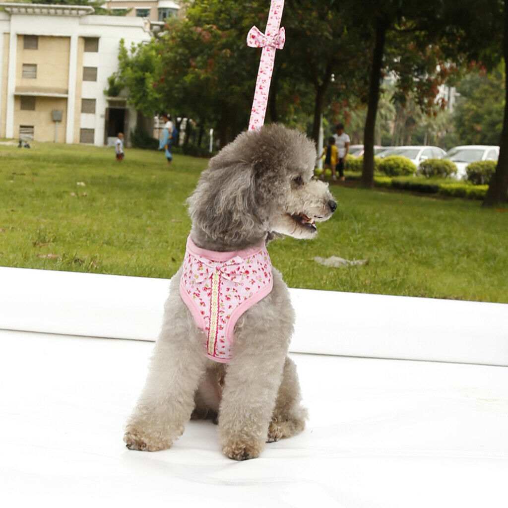 Sweet Floral Dog Puppy Harness Leash  Walking Collar Vest Strap Pink M