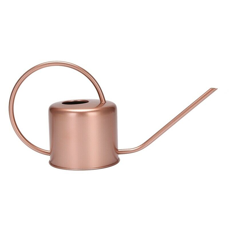 1300Ml Wate Can Metal Garden Stainless Steel for Home Flower Water Bottle EasyO9