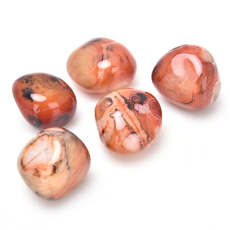 5Pcs Natural Banded Agate Madagascar,Xlarge Tumbled Beautiful Patterns   ZB Tt