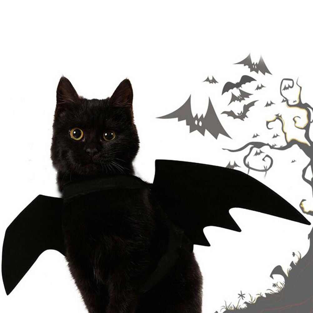 Lovely for small pet dog cat bat wings halloween wings halloween costume fw_DD