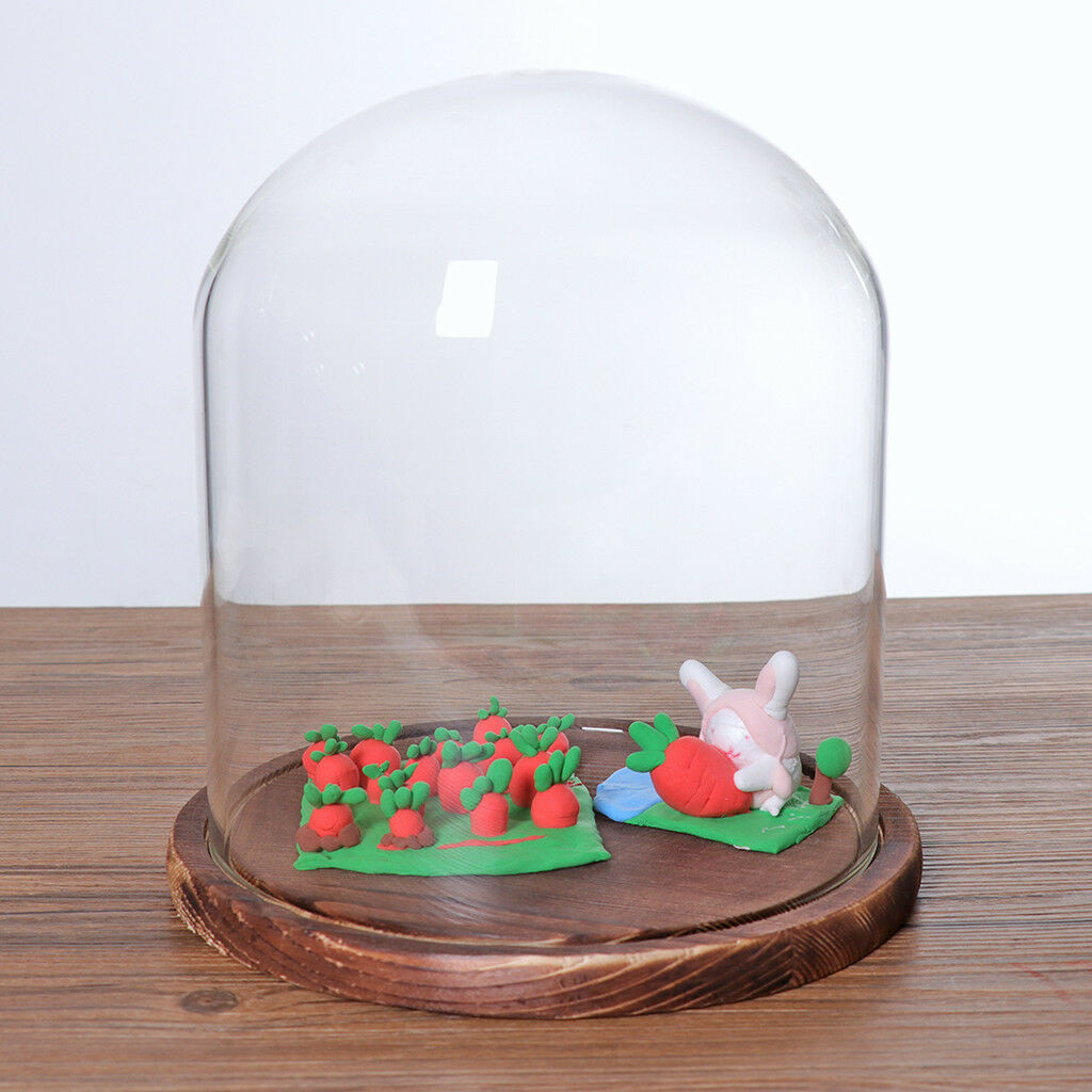Glass Display Dome Cloche Bell Jar With Wooden Base for DIY Decor_Black C