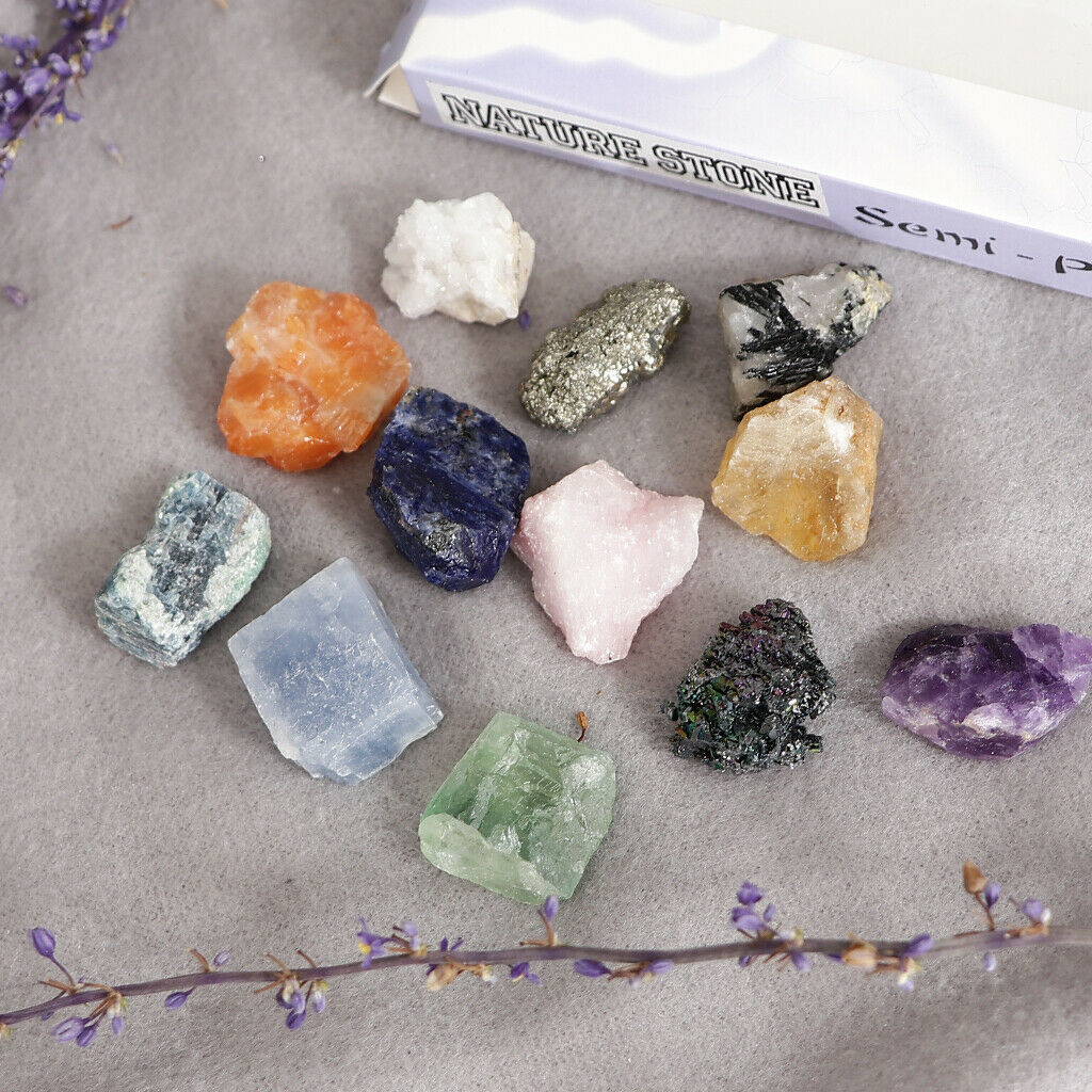 Rock and Mineral Earth Science School Teaching Display Collection Gift