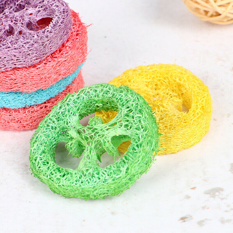 6 PCS Loofah Parrot Chew Toys Luffa Slices Shaped Bird Chew Toys Bird T JD