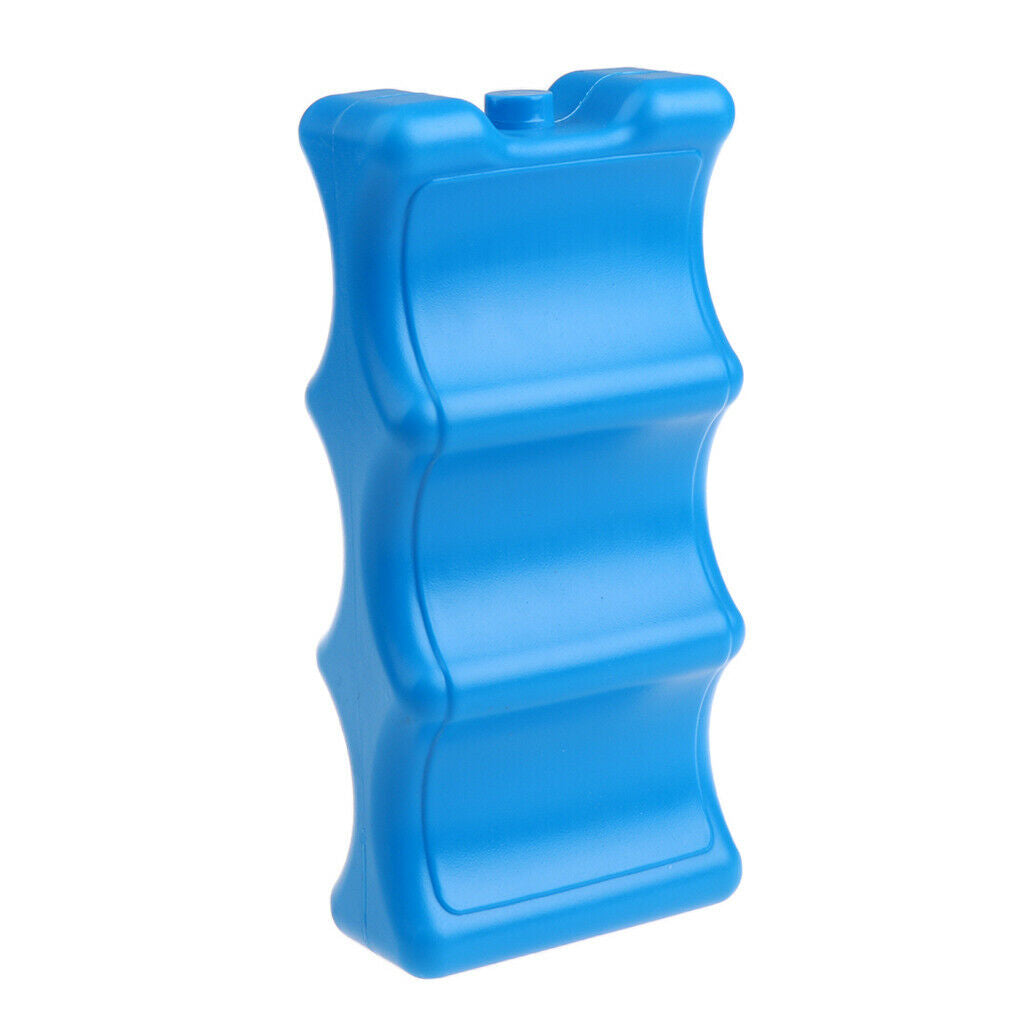 Portable  Lunch Freezer Ice Blocks Case Cool Pack Cooler Box Plastic Blue