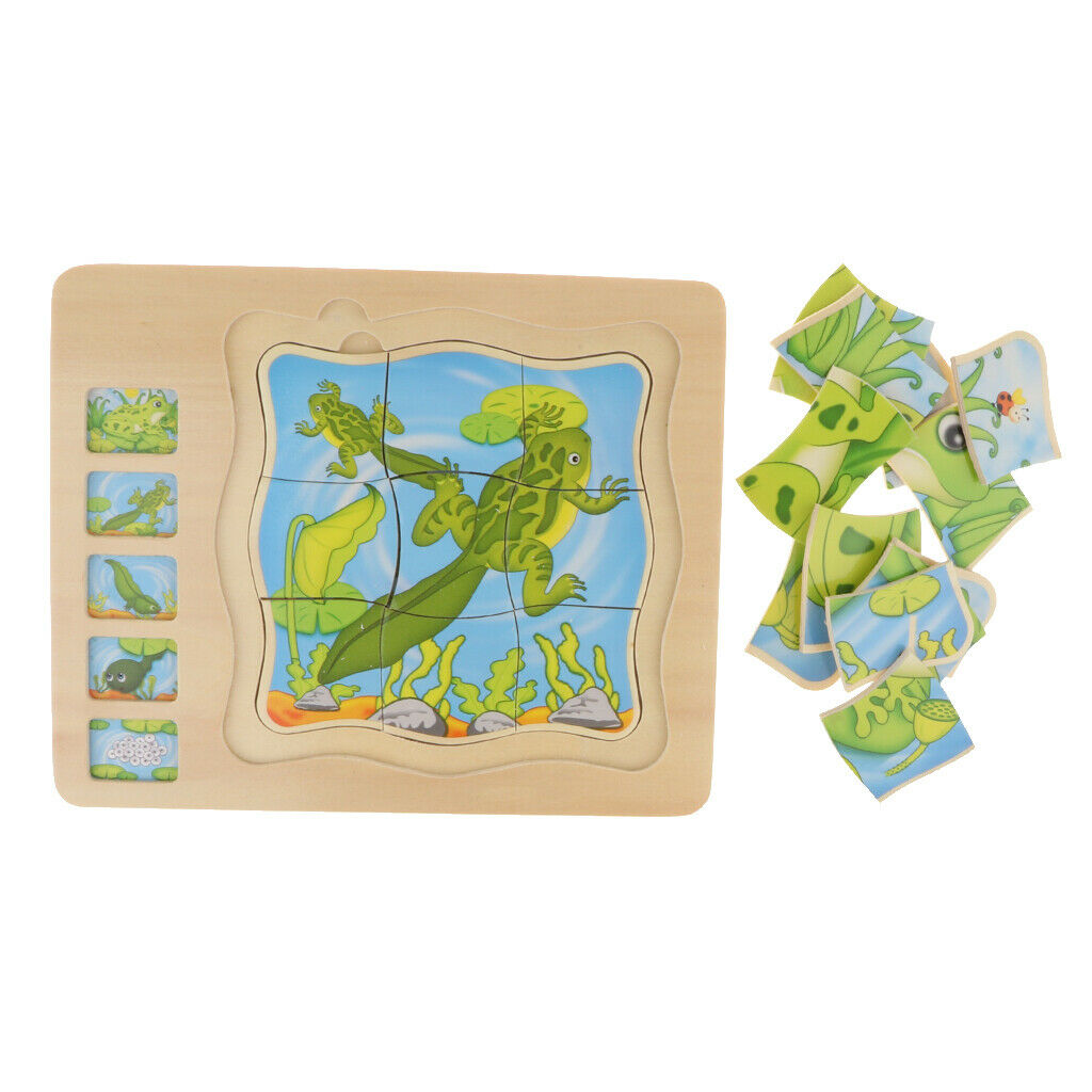 Frog Layer Puzzle, Wooden Stacking Puzzle, Children's Intelligence