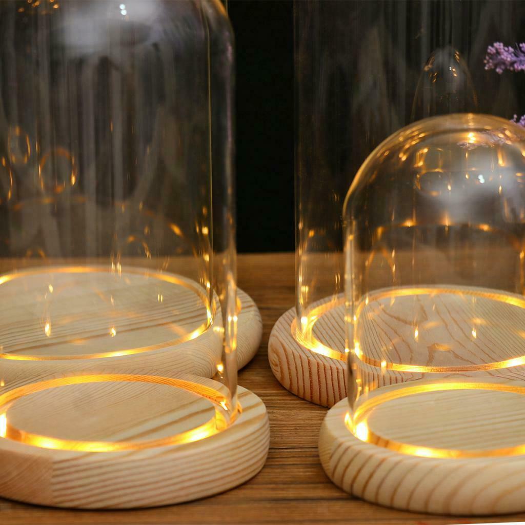 Clear Glass Display Dome with LED Wood Base Microlandscape Holder E 12x12cm
