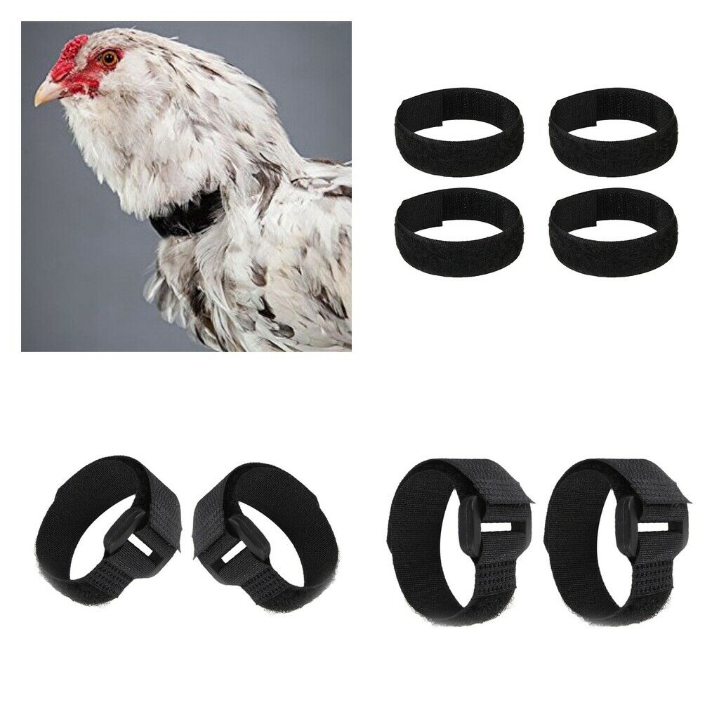 8pcs Chicken Collar Prevent Chicken from Screaming For Poultry Duck Goose