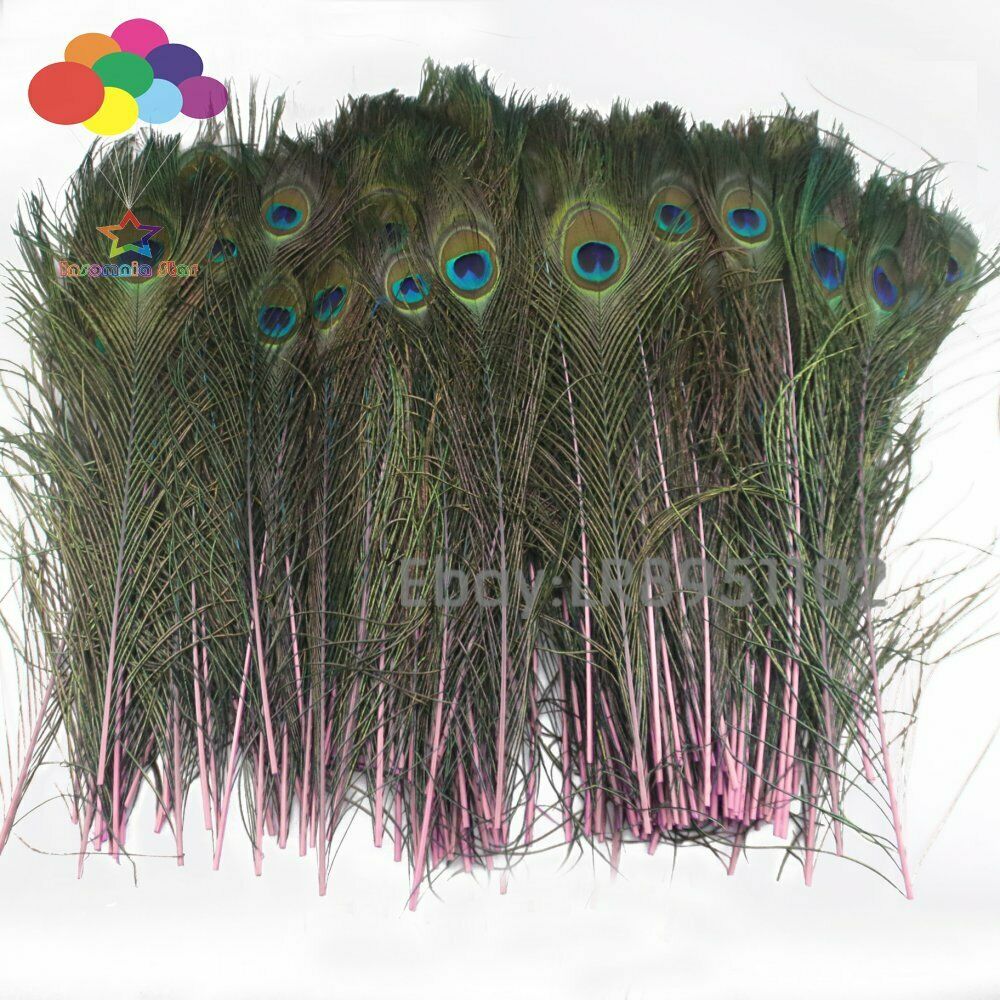 New 100 pcs / Lot pink Beautiful Peacock Feathers 40-45 cm DIY Weddings Reunions