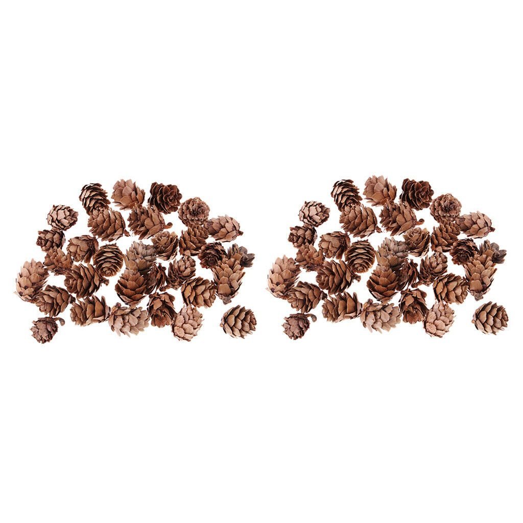 60pcs Pine Cones Premium Pinecones Wreath Garland DIY Embellishments Decors