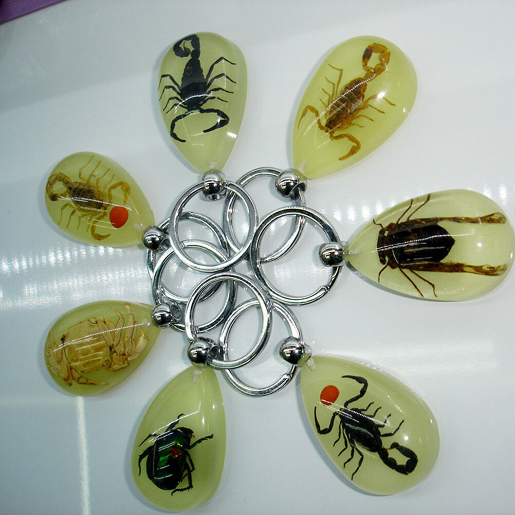 Scorpion Glow Lucite Keyring Keychain Insect Jewelry Taxidermy Gif.l8