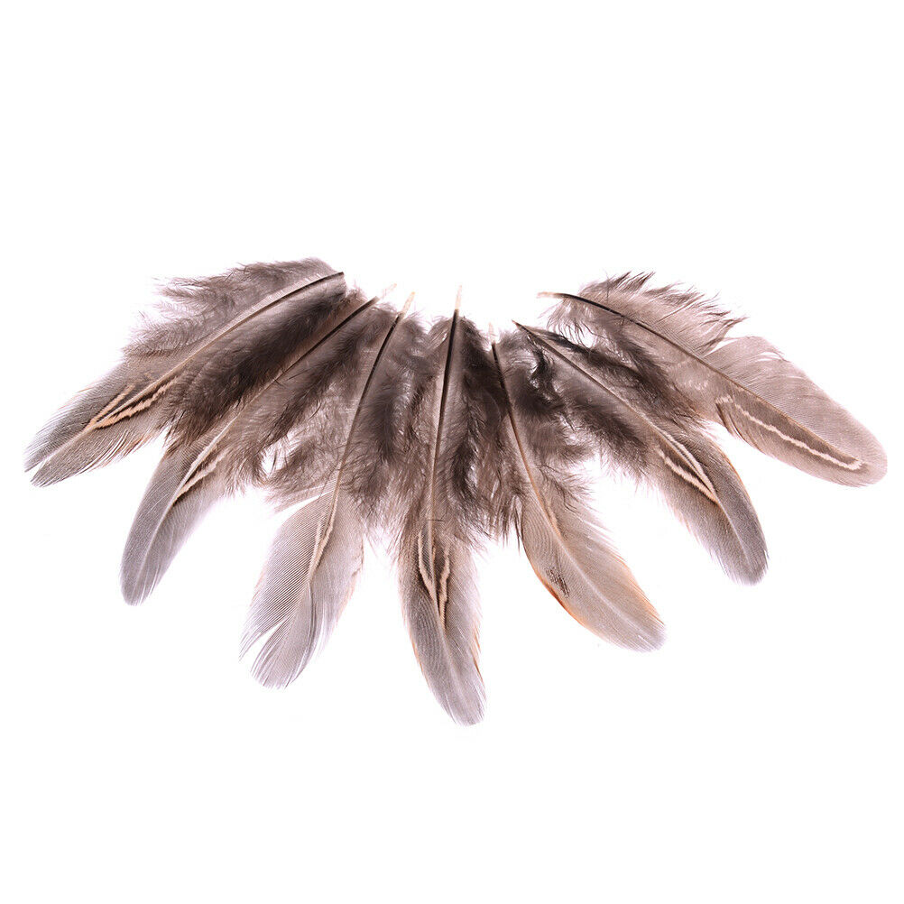 50pcs/set pheasant feathers 5-10cm chicken plumes for carnival diy craft .l8