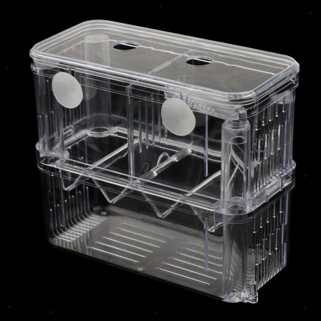 Aquarium Fish Breeder Box Isolation Box Fish Breeding Hatchery Incubator New