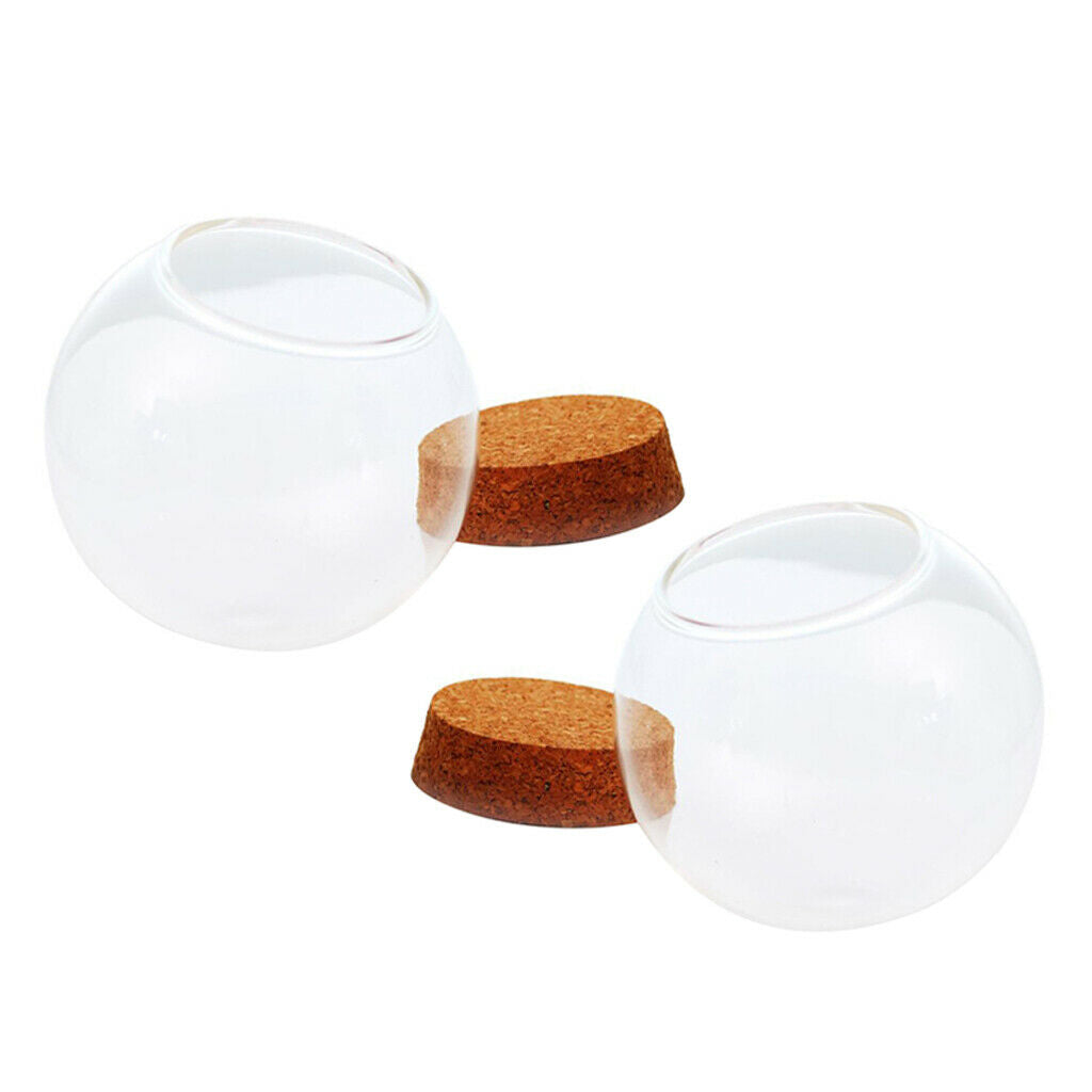 2pcs Creative Clear Glass Plant Terrarium, DIY Mothers Day Gift Making,