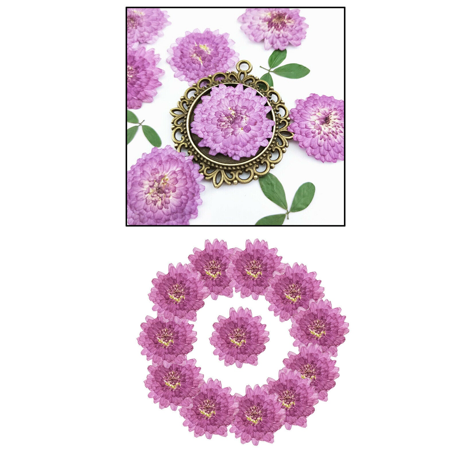 24pcs Pressed Dried Flower Leaves DIY Bookmark Nail Arts Embellishments