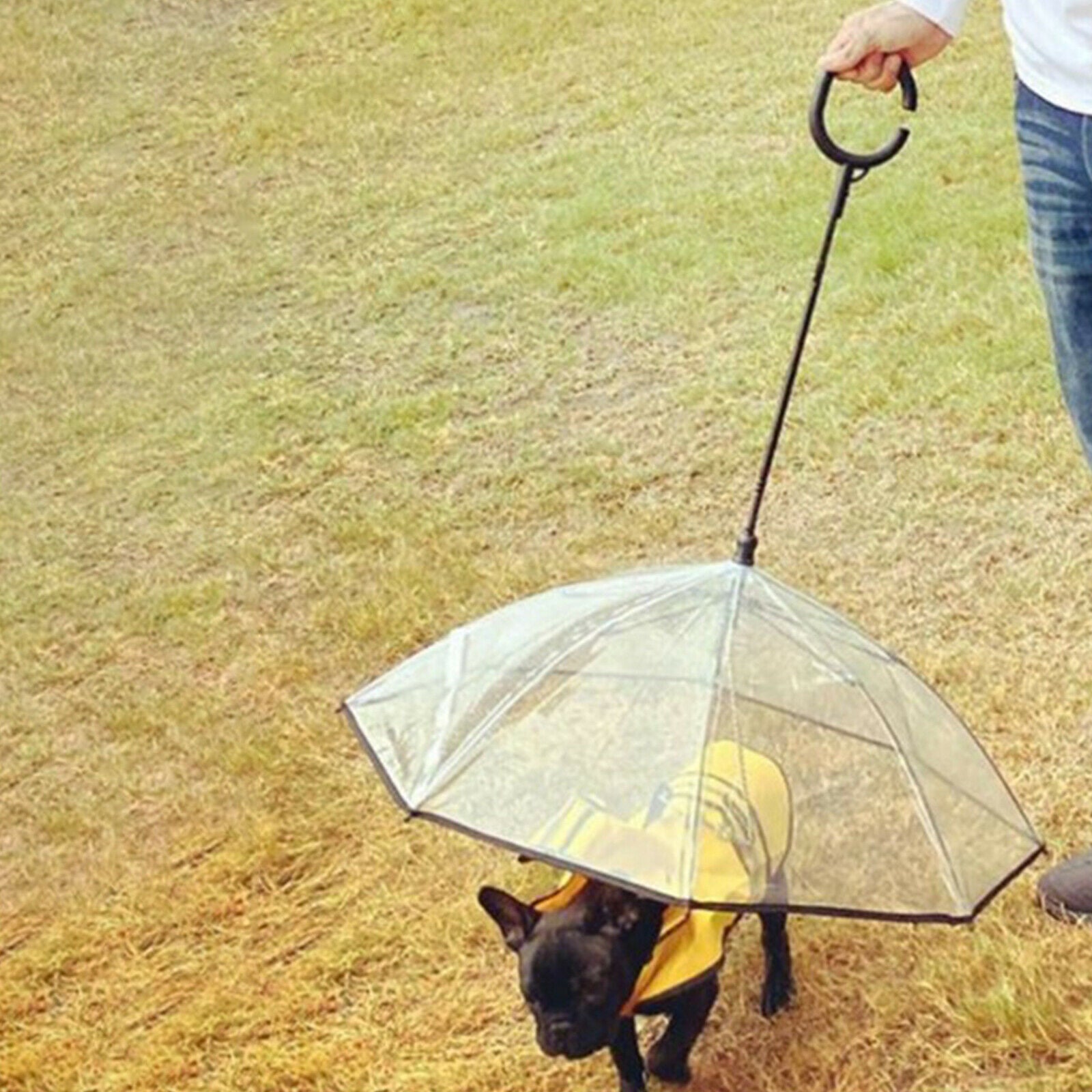 Dog Cat Umbrella with Leash Walking Clear Cover Keeps Pet Dry Raincoats