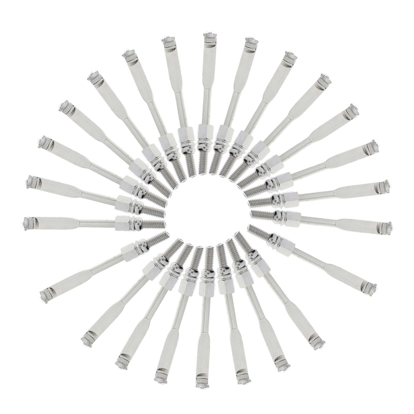 Set of 24 Pieces Chrome Plated Traditional Banjo Flat Thread Hooks Banjo